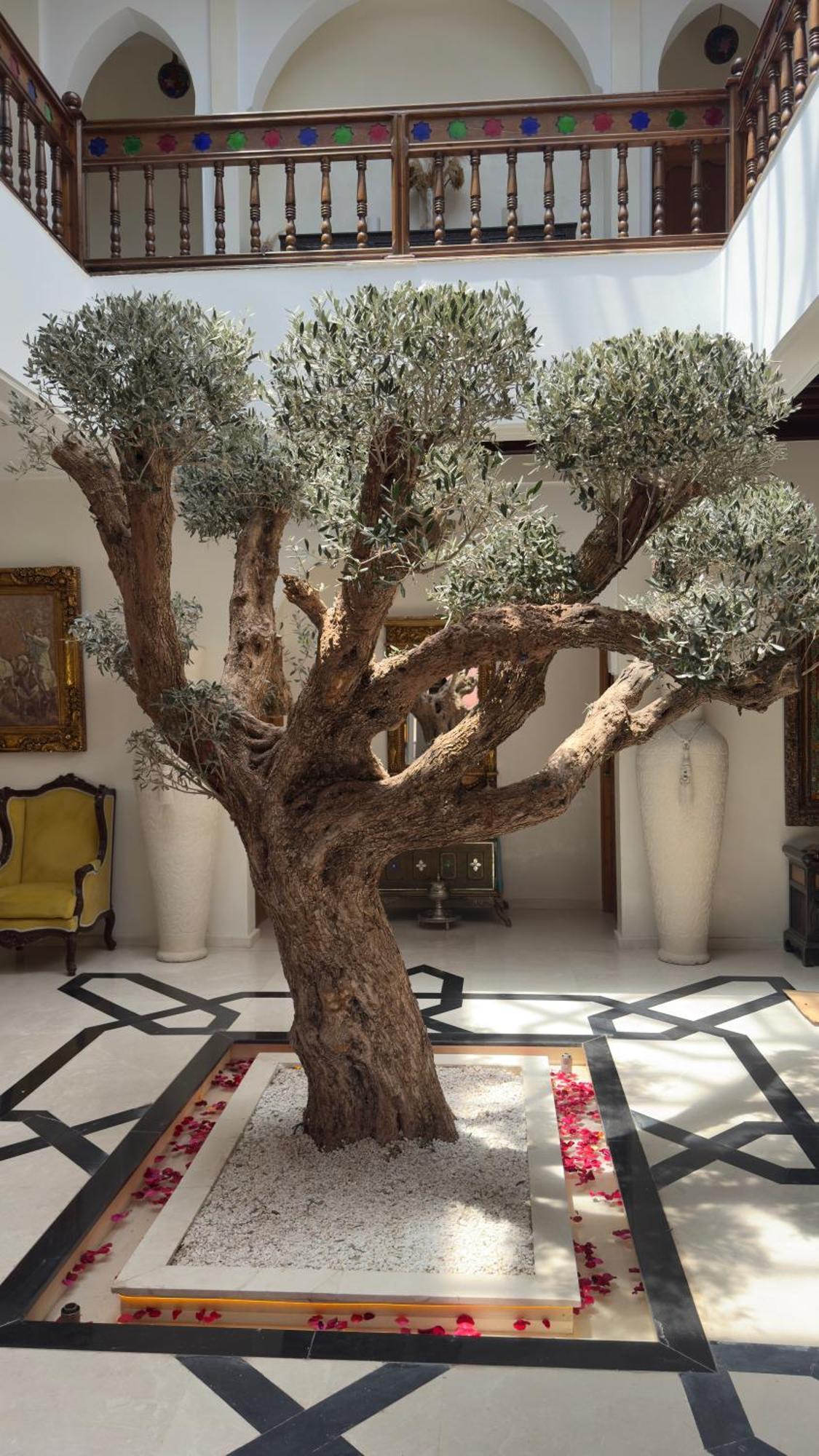 Albakech Boutique & Marrakesch